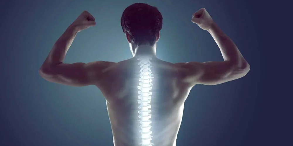 تمارين تقوية الجذع